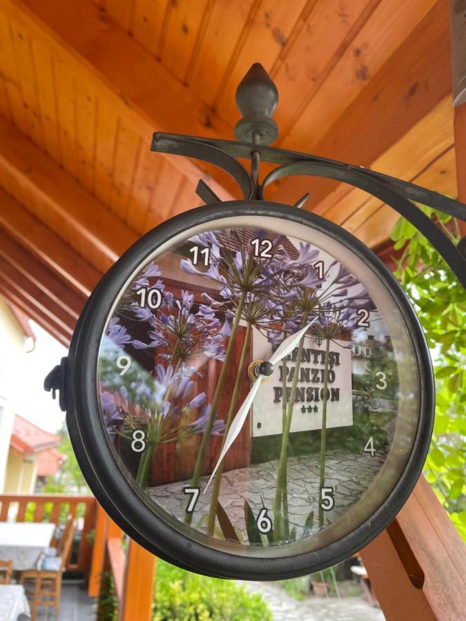 Szentesi Panzio Bed & Breakfast Fertorakos Exterior photo
