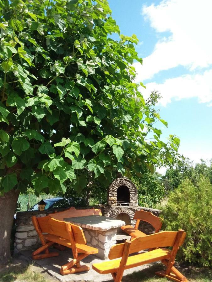 Szentesi Panzio Bed & Breakfast Fertorakos Exterior photo