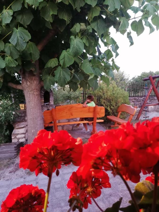 Szentesi Panzio Bed & Breakfast Fertorakos Exterior photo