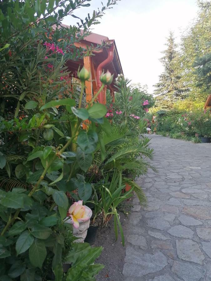 Szentesi Panzio Bed & Breakfast Fertorakos Exterior photo