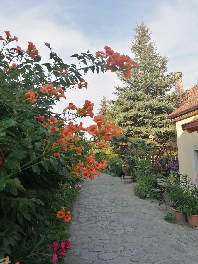 Szentesi Panzio Bed & Breakfast Fertorakos Exterior photo