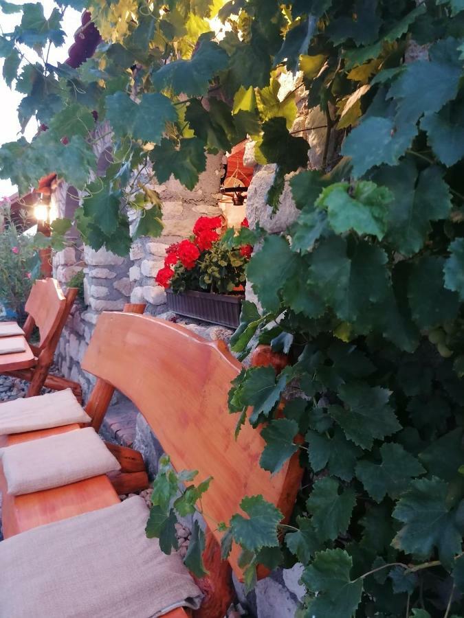 Szentesi Panzio Bed & Breakfast Fertorakos Exterior photo